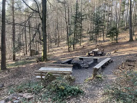 Trekking Pfalz: Am Herrentisch