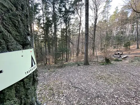Trekking Pfalz: Am Herrentisch
