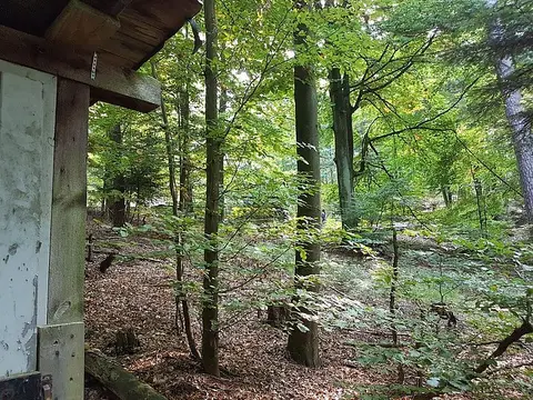 Trekking Pfalz: Am Herrentisch