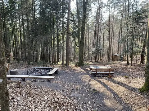 Trekking Pfalz: Am Herrentisch