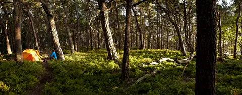 Trekking Pfalz: Am Herrentisch