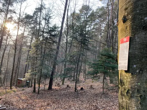 Trekking Pfalz: Am Herrentisch