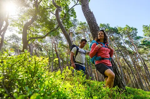 Trekking Pfalz: Am Herrentisch