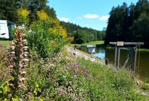Vogtlandcamping