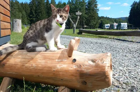 Vogtlandcamping