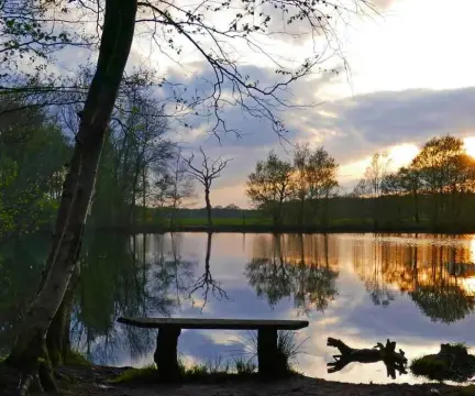 Bospark Langeloërduinen