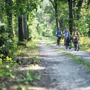 Bospark Langeloërduinen