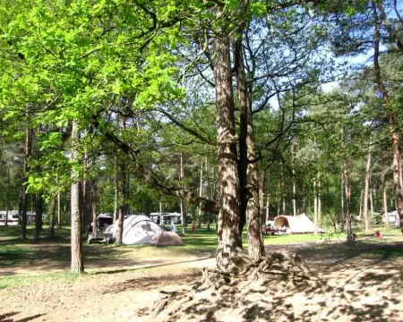 Bospark Langeloërduinen
