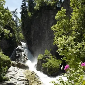 Camping Erlengrund