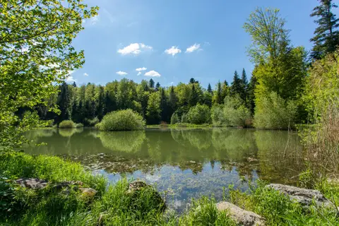 Aire de services de Foncine-le-Haut