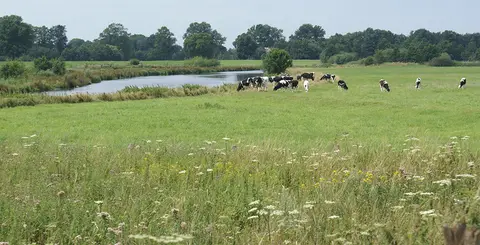 Wohnmobilstellplatz in Laar an der alten Mühle
