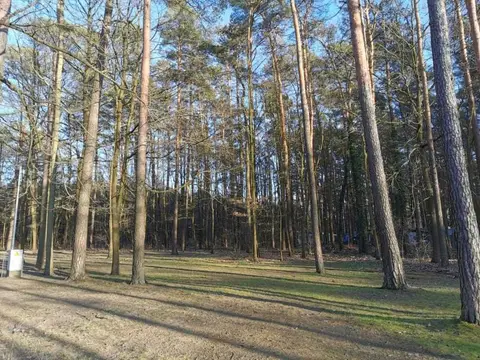 Campingplatz Waldcamping Am Großsee