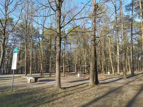 Campingplatz Waldcamping Am Großsee
