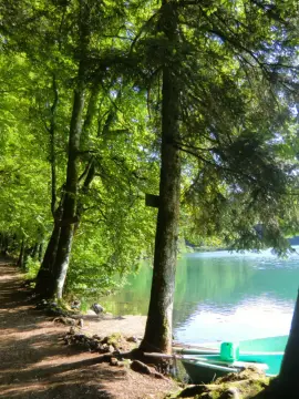 Camping de l'Abbaye