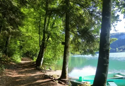 Camping de l'Abbaye