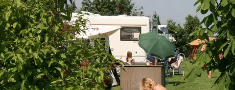 Minicamping De Wolvenhoeve