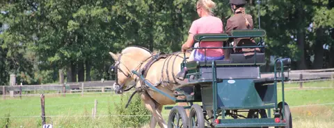 Minicamping De Wolvenhoeve