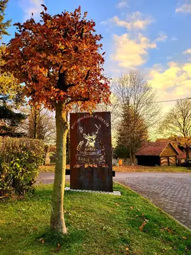 Stellplatz Braugasthof Brauner Hirsch