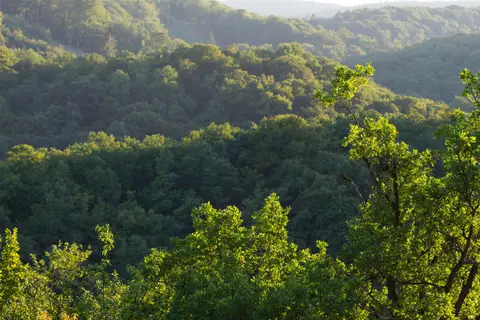 Wohnmobilstellplatz Nationalpark Thayatal