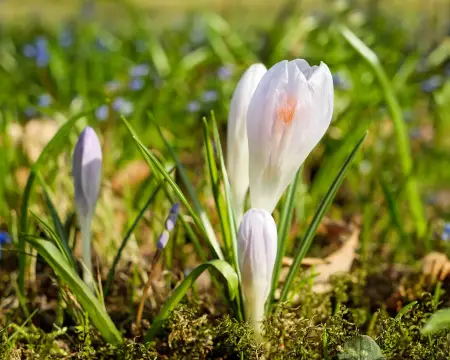 Wohnmobilstellplatz Rudolf-Then-Halle