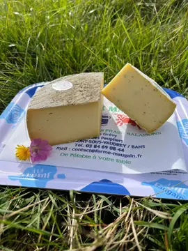 Camping de la Forêt