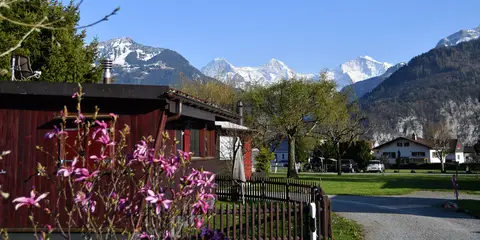 JungfrauCamp