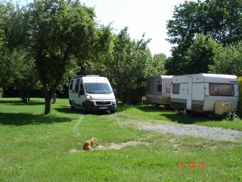 Camp Herzog