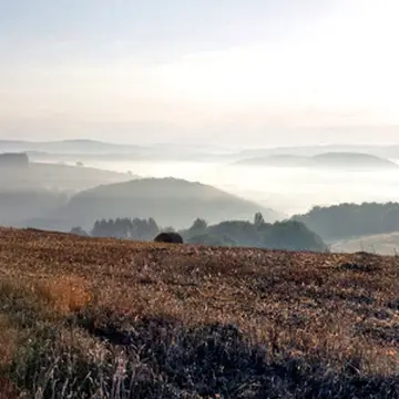 Trekking Pfalz: Frankelbach