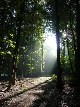 Trekking Pfalz: Drehenthalerhof