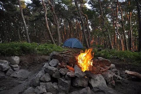 Trekking Pfalz: Drehenthalerhof