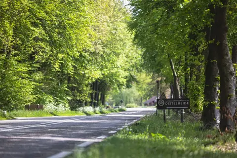 Natuurkampeerterrein Distelheide