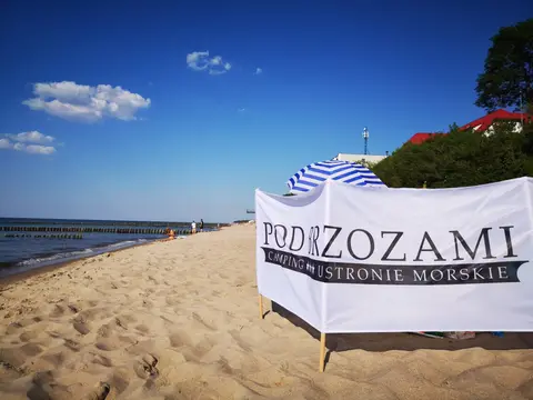 Camping Pod Brzozami