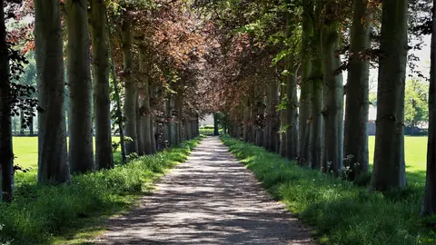Dorpscamping Gemert