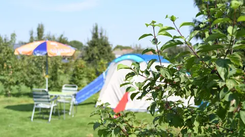 Dorpscamping Gemert