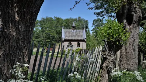 Dorpscamping Gemert