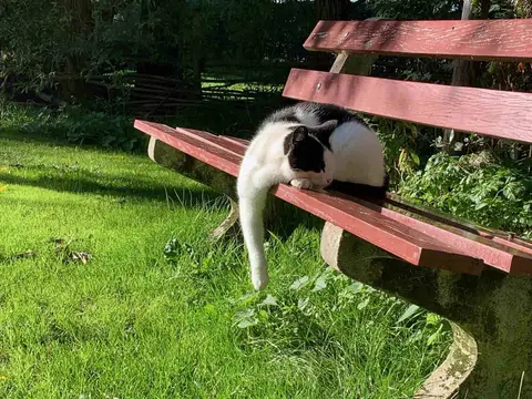 Natuurkampeerterrein De Maasakker