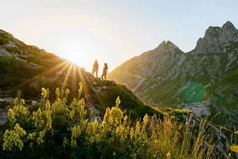 Kamp Bohinj Zlatorog