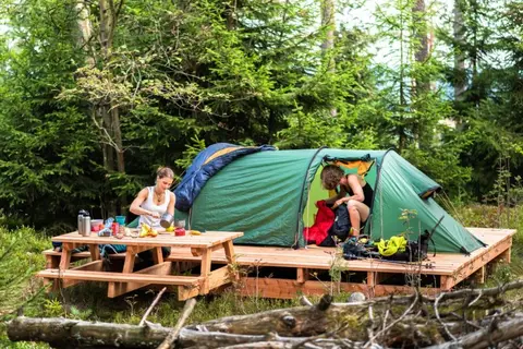 In die Wildnis