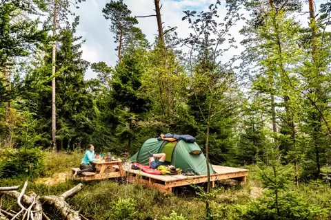 In die Wildnis