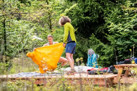 In die Wildnis
