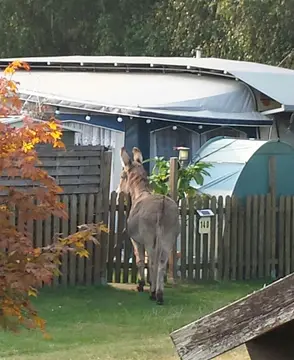Märchencamping