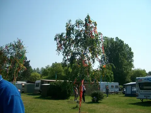 Campingplatz Wüllenheide