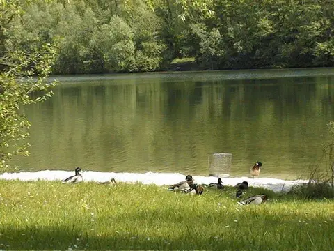 Camingplatz Heider Bergsee