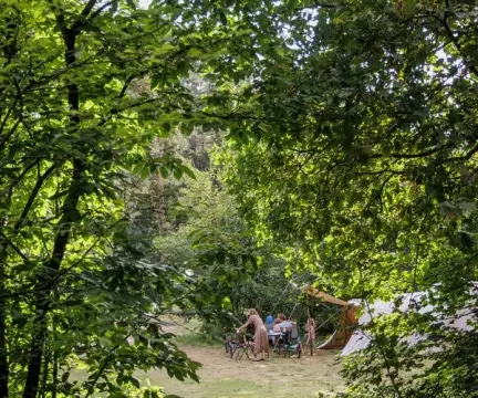 Huttopia de Veluwe
