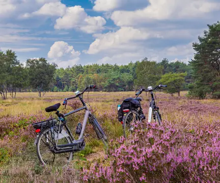 Huttopia de Veluwe
