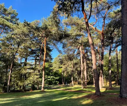 Huttopia de Veluwe