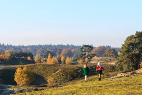 Zwaluwenhof