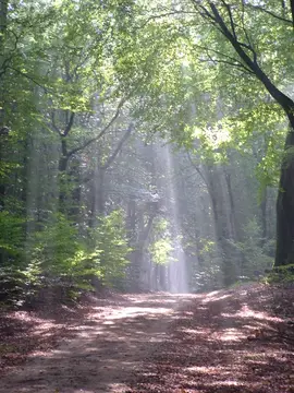 Camping de Wijde Blik