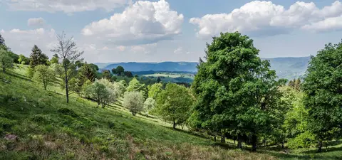Camping La Forêt