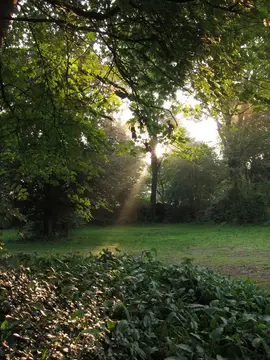 Bekhofschans
